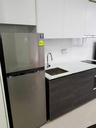 Sims Urban Oasis (D14), Condominium #452138241